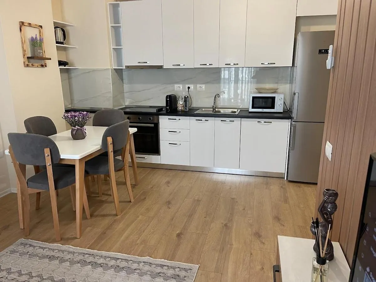 Jona Lovely 2 Bedroom 2 Bathroom Ap Free Parking 地拉那 阿尔巴尼亚