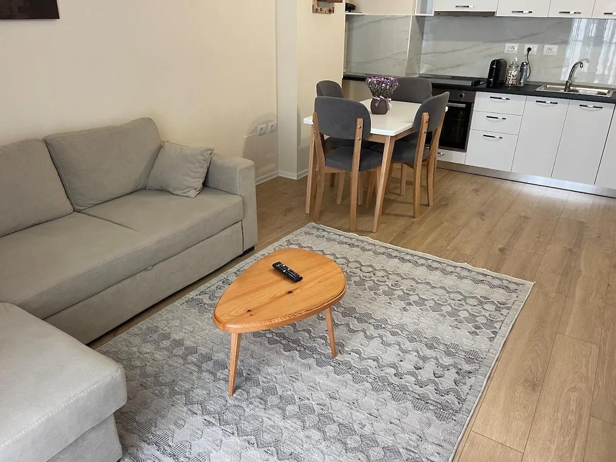 Jona Lovely 2 Bedroom 2 Bathroom Ap Free Parking 地拉那 阿尔巴尼亚